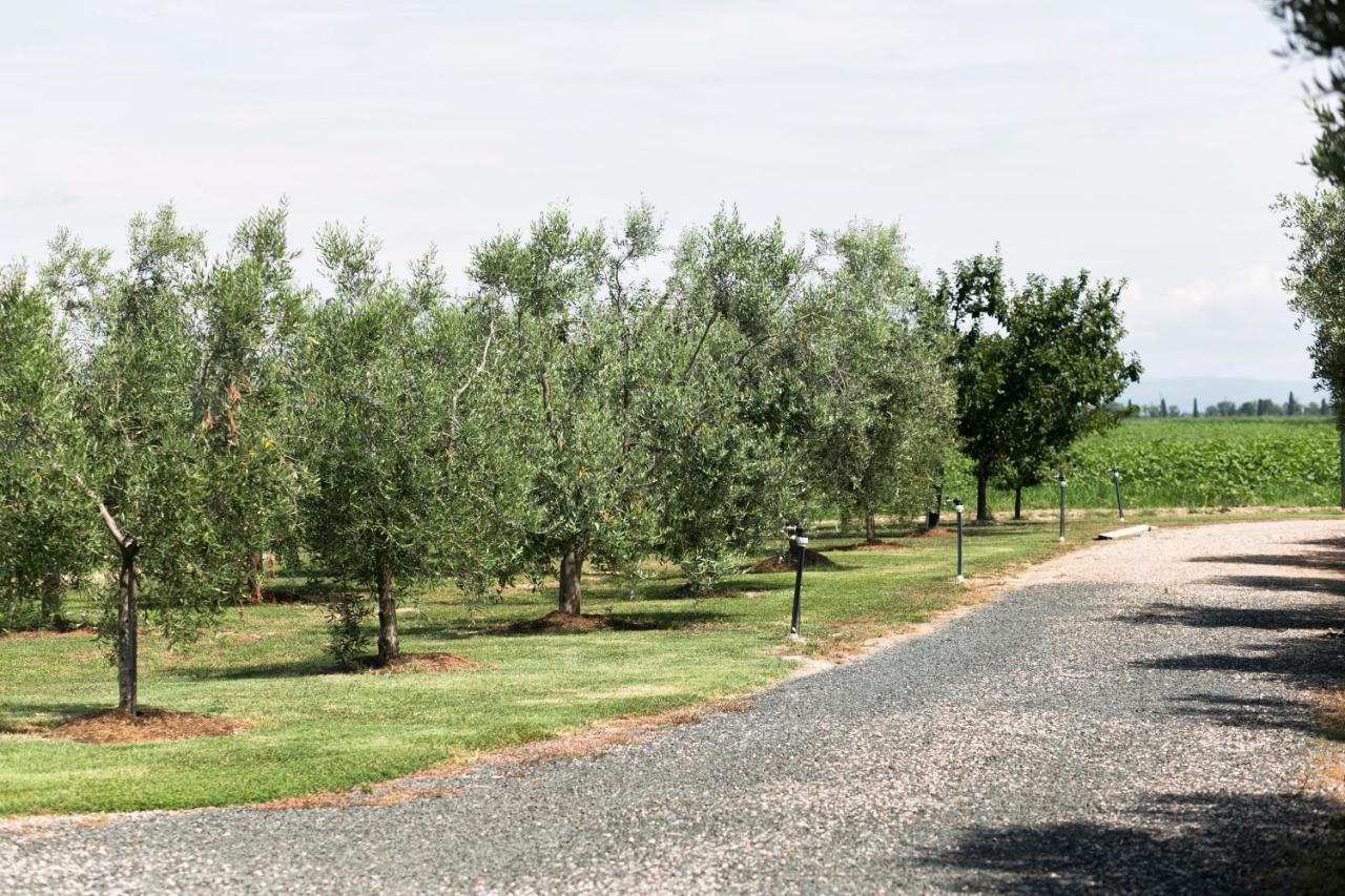 Agriturismo Valdo 格罗塞托 外观 照片