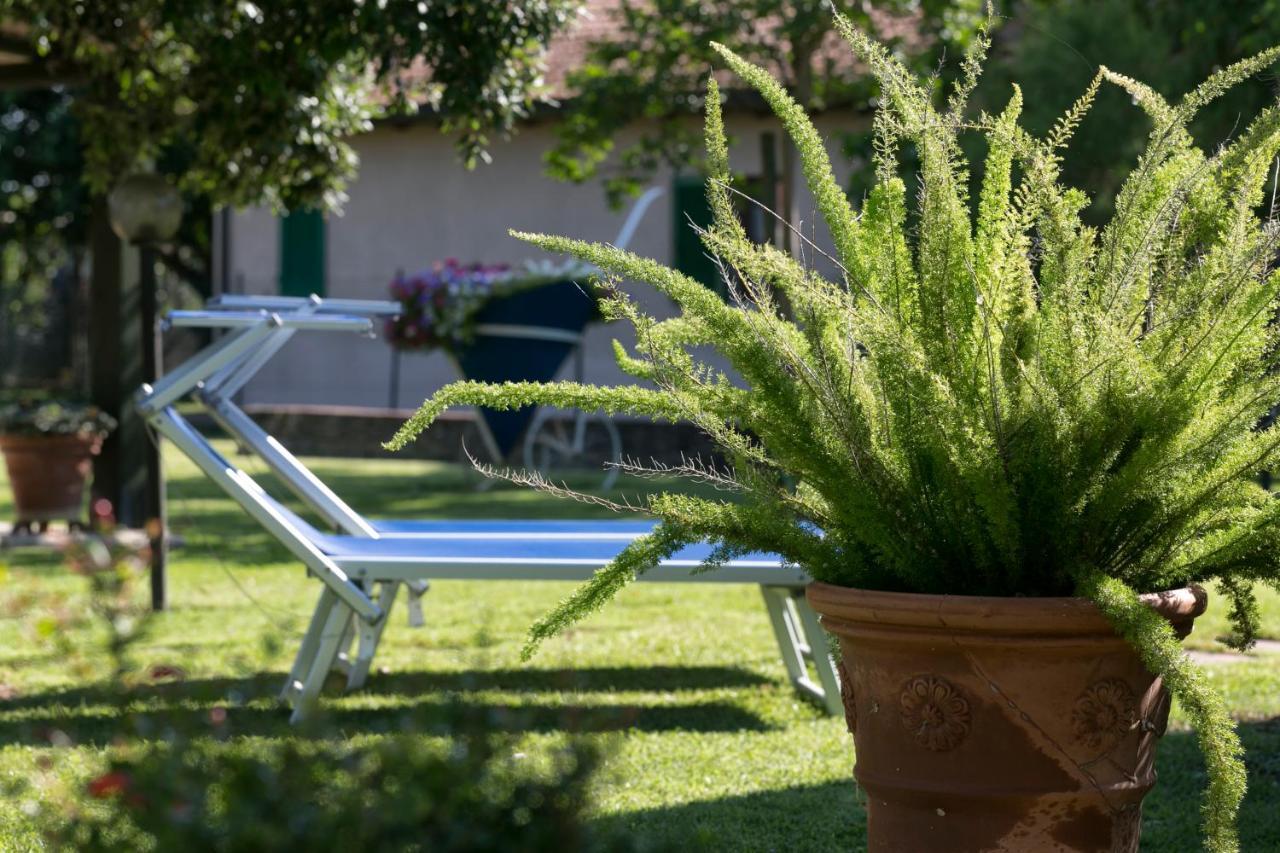 Agriturismo Valdo 格罗塞托 外观 照片