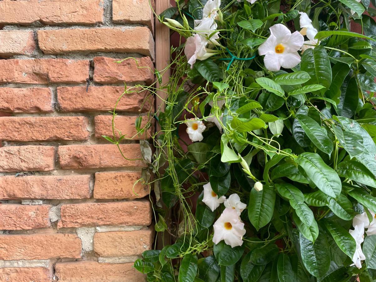 Agriturismo Valdo 格罗塞托 外观 照片