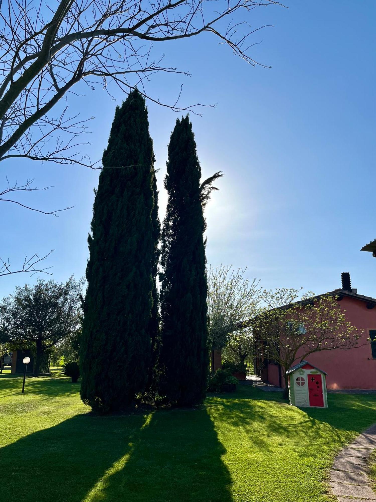 Agriturismo Valdo 格罗塞托 外观 照片