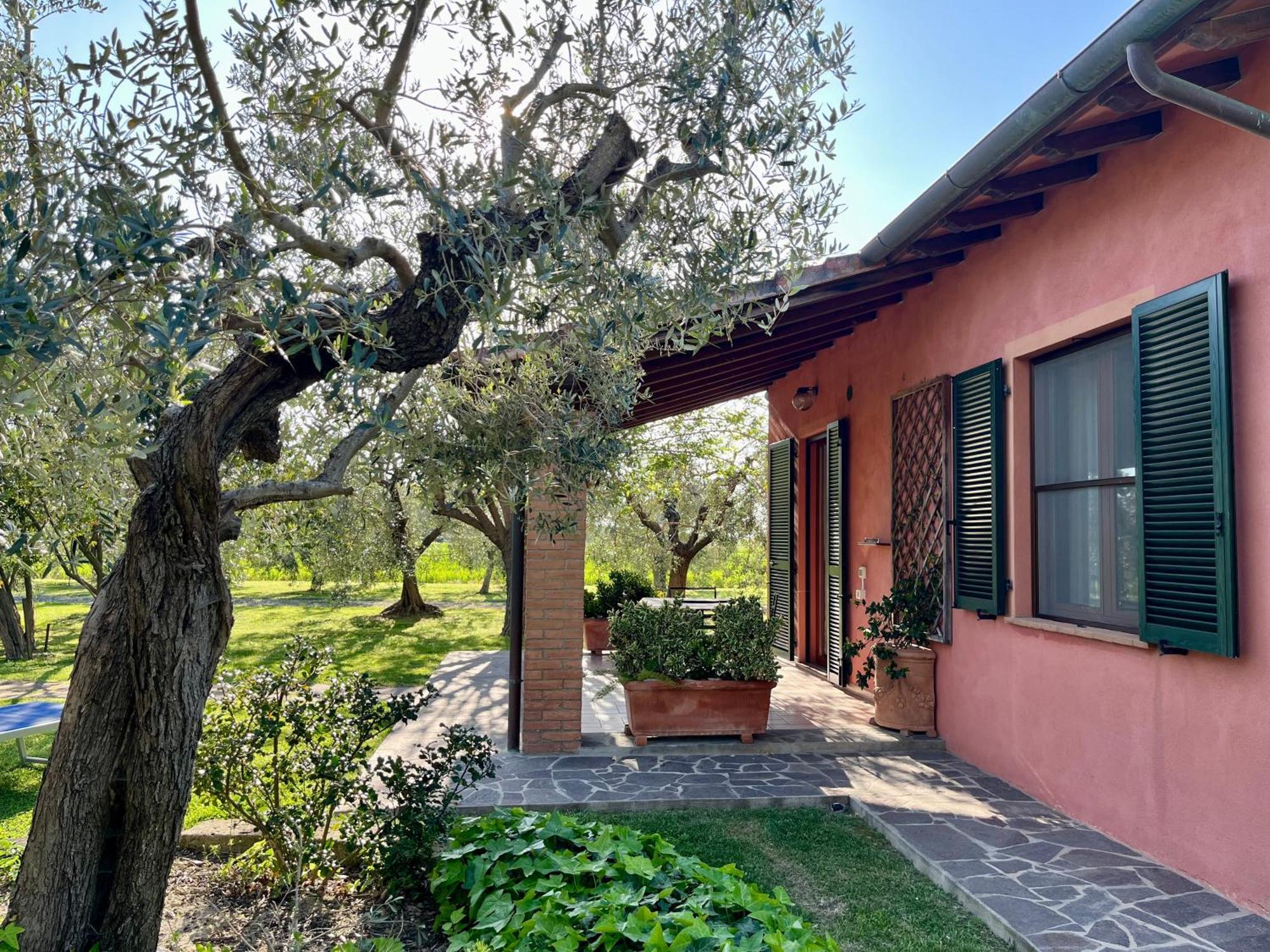 Agriturismo Valdo 格罗塞托 外观 照片