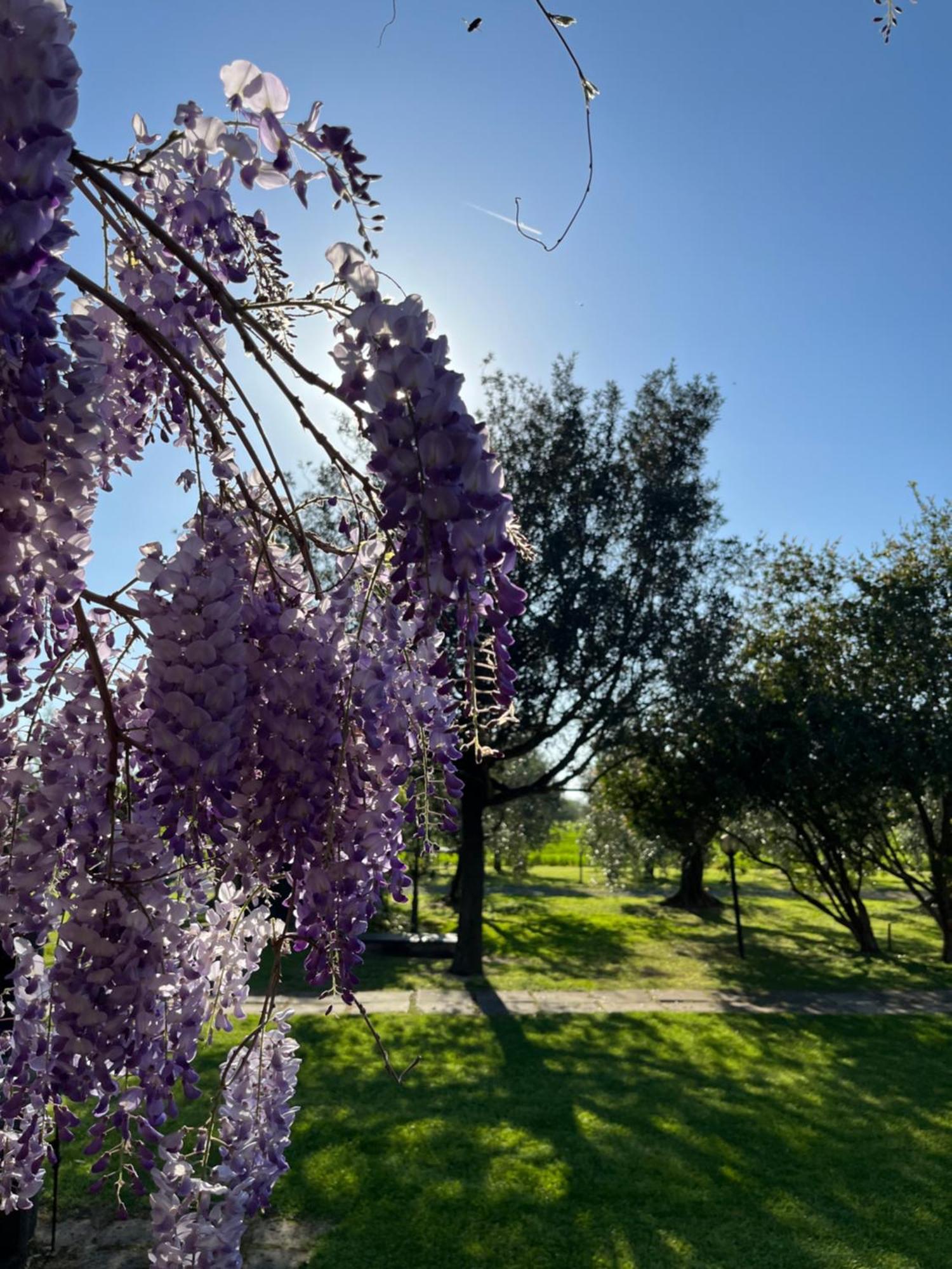 Agriturismo Valdo 格罗塞托 外观 照片