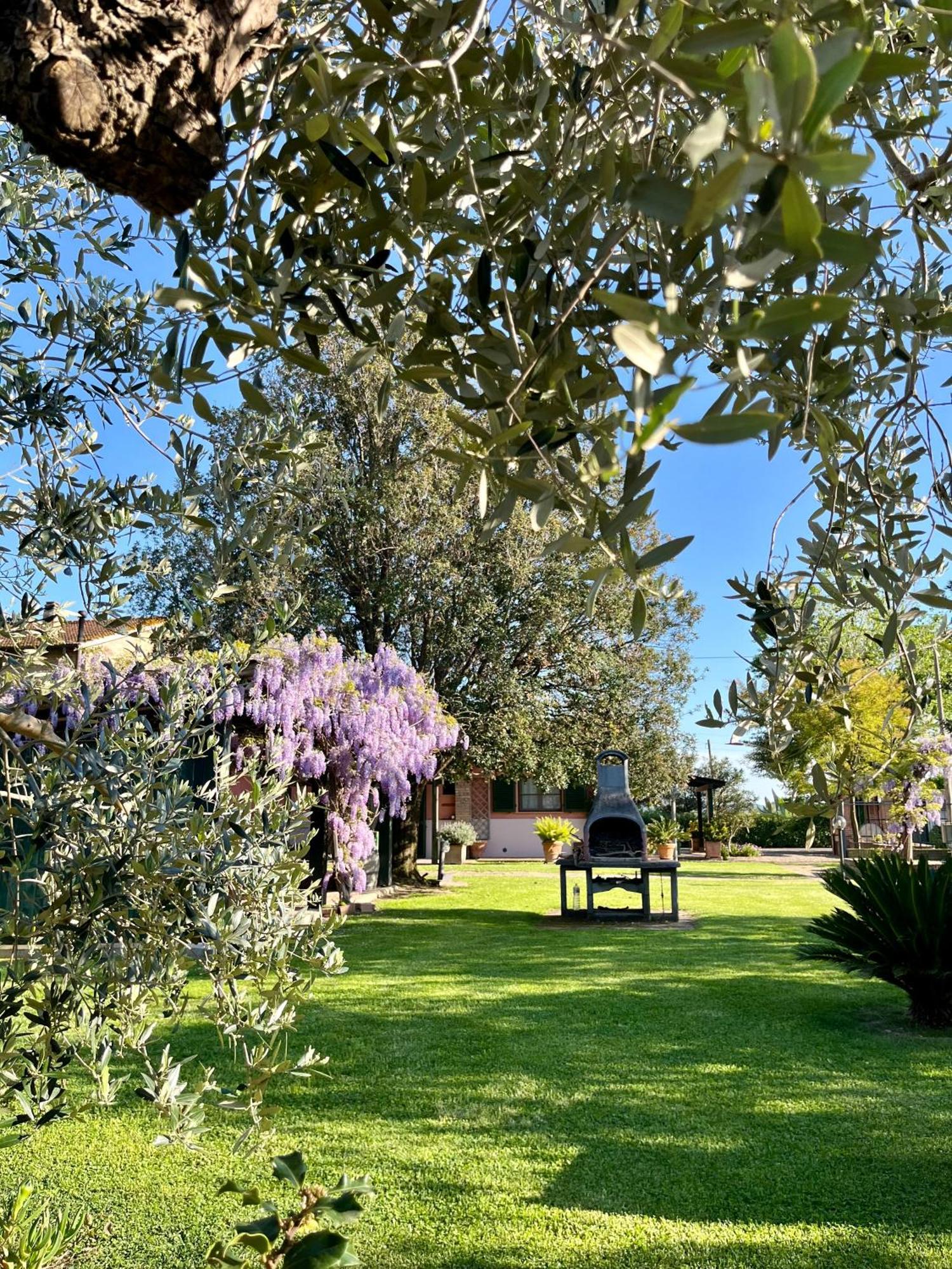 Agriturismo Valdo 格罗塞托 外观 照片