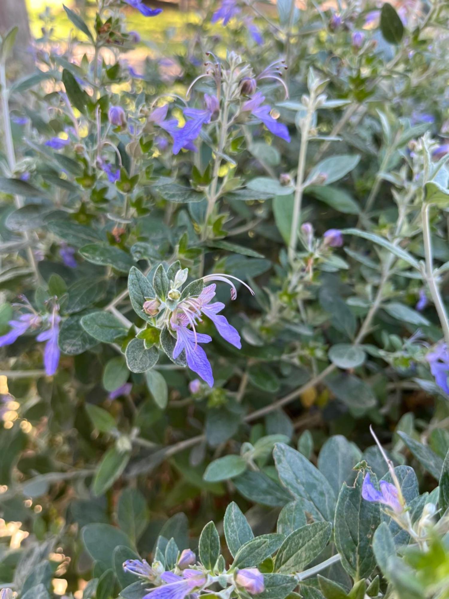 Agriturismo Valdo 格罗塞托 外观 照片
