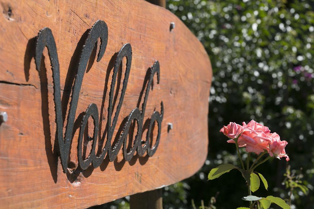 Agriturismo Valdo 格罗塞托 外观 照片